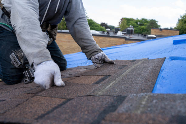 Roof Gutter Cleaning in Magnet Cove, AR