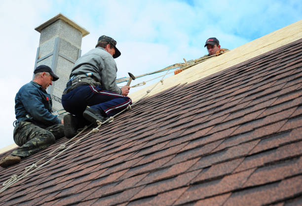 Best Storm Damage Roof Repair  in Magnet Cove, AR
